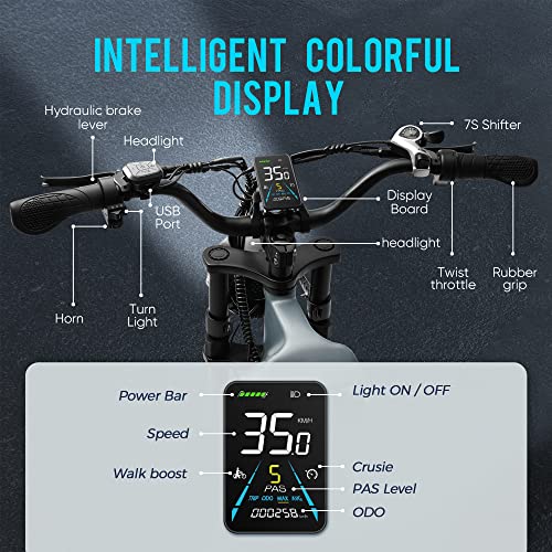 eAhora Juliet 60Ah 1000W Electric Bike for Adults Long Range Electric Bike 20 * 4.0 Fat Tire Electric Bike Full Suspension Electric Mountain Bike,Color Display (Green)