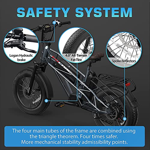 Fucare Electric Bike,Gemini/Gemini X Dual Battery 20.8AH(30AH) 750W 48V,Electric Bike for Adults,31MPH Max Speed,70-80(100-120) Miles,5.3" Display,Shimano 7 Speed,20''×4.0'' All Terrain Electric Bike