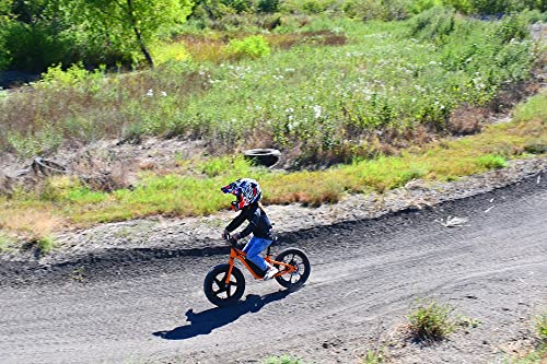 Massimo Motor 24V 350w Electric Balance Bike, Dirt Bike for Kids E13 w/Adjustable Seat Height 16" Large Wheel Aluminum Body Frame Up to 6 Hours Long Range Metal Rear Rim(Black)